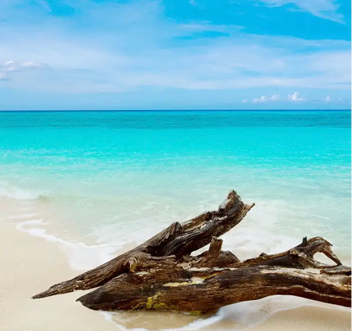Caribbean
