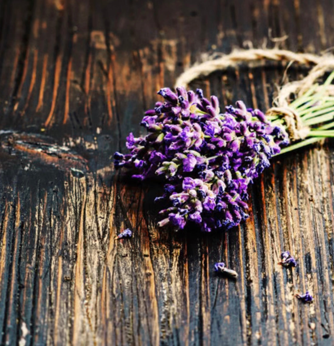 Amber + Lavender